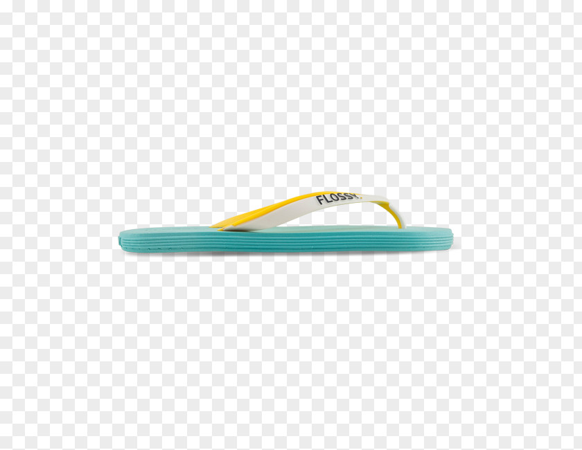 Flip-flops Shoe Swimsuit Towel Larissa PNG