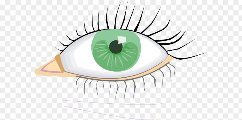 Overthrow Cliparts Eye Color Clip Art PNG