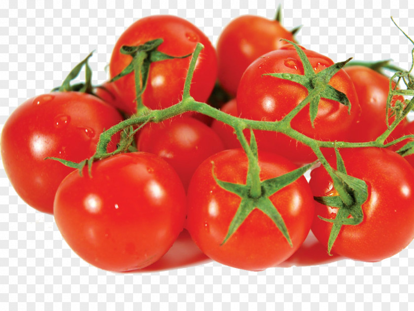 Tomato Vegetable Potato Food Fruit PNG