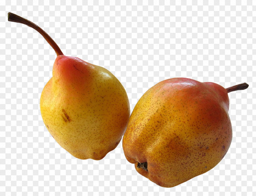 Fresh Ripe Pear Fruit Food PNG