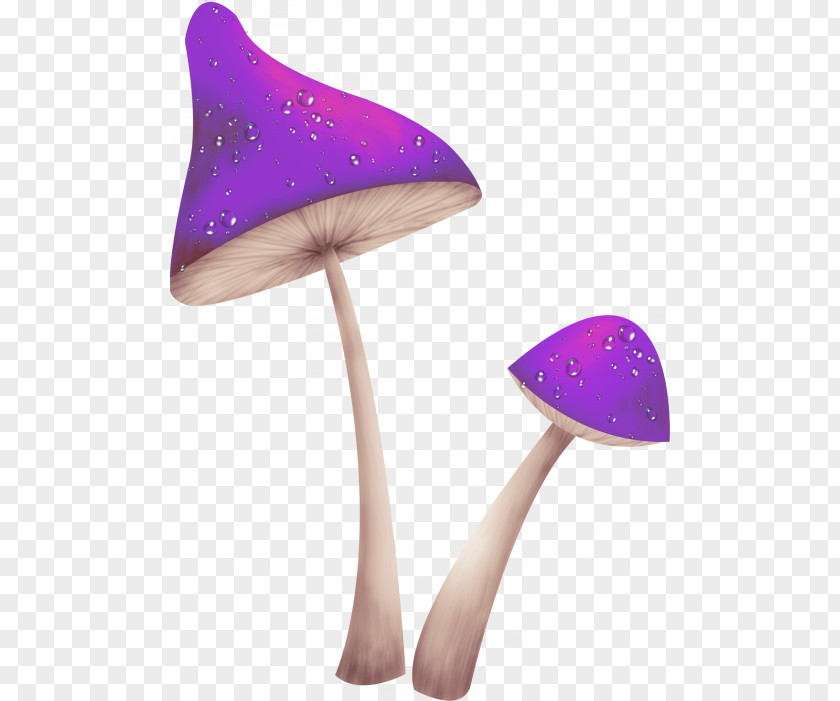 Purple Mushrooms Fungus Mushroom Clip Art PNG