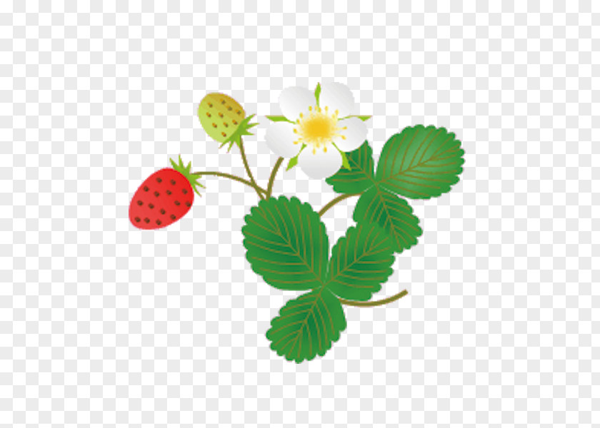 Strawberry Leaf Image Clip Art Blog Computer File PNG