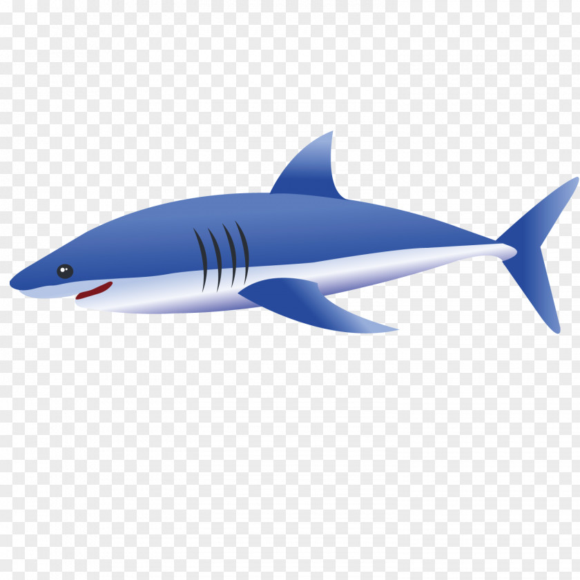 Vector Sharks Tiger Shark Euclidean Blue PNG