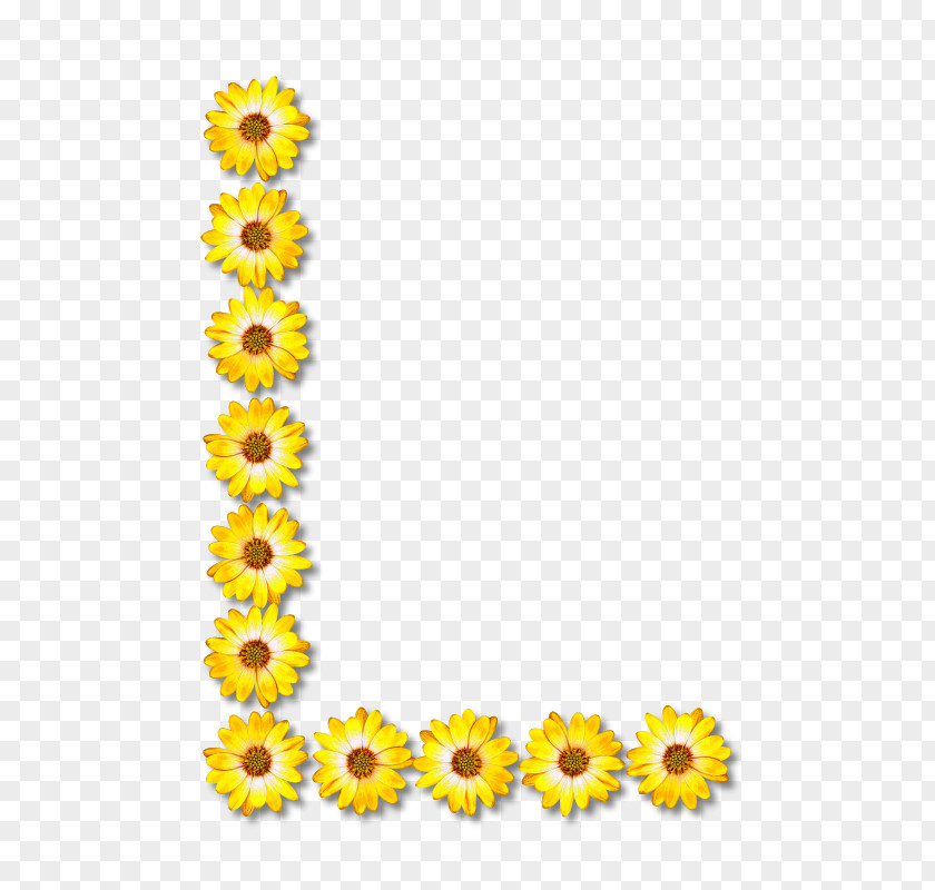 Alphabet Flower Common Sunflower Letter PNG