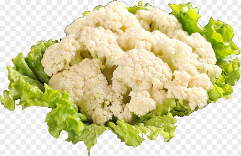 Cauliflower Material Vegetable Lettuce Vegetarian Cuisine Salad PNG