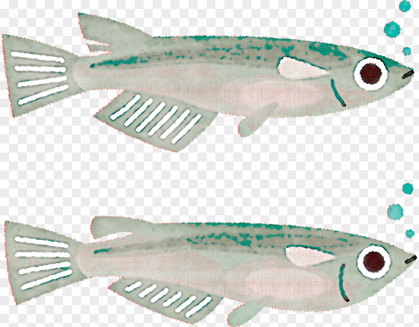 Milkfish Oily Fish Sardine Mackerel PNG