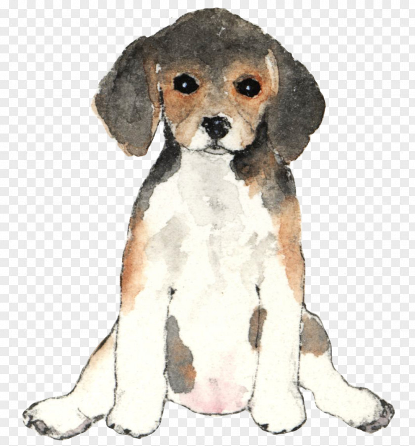 Puppy Dog Breed Beagle Companion Training PNG