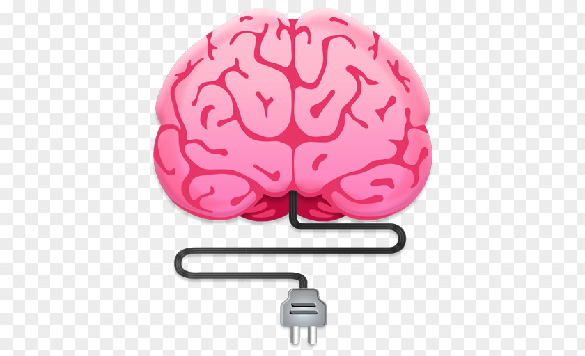 Susie Dent Human Brain Vector Graphics Frontal Lobe Diagram PNG