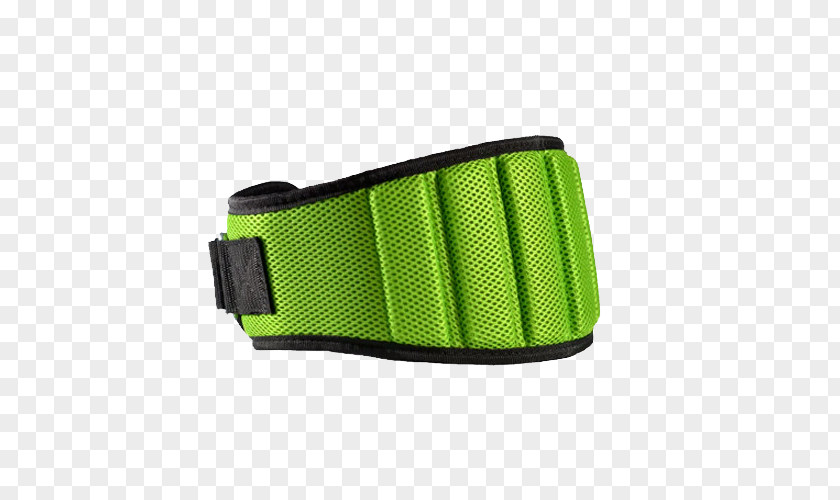 Belt Strap PNG