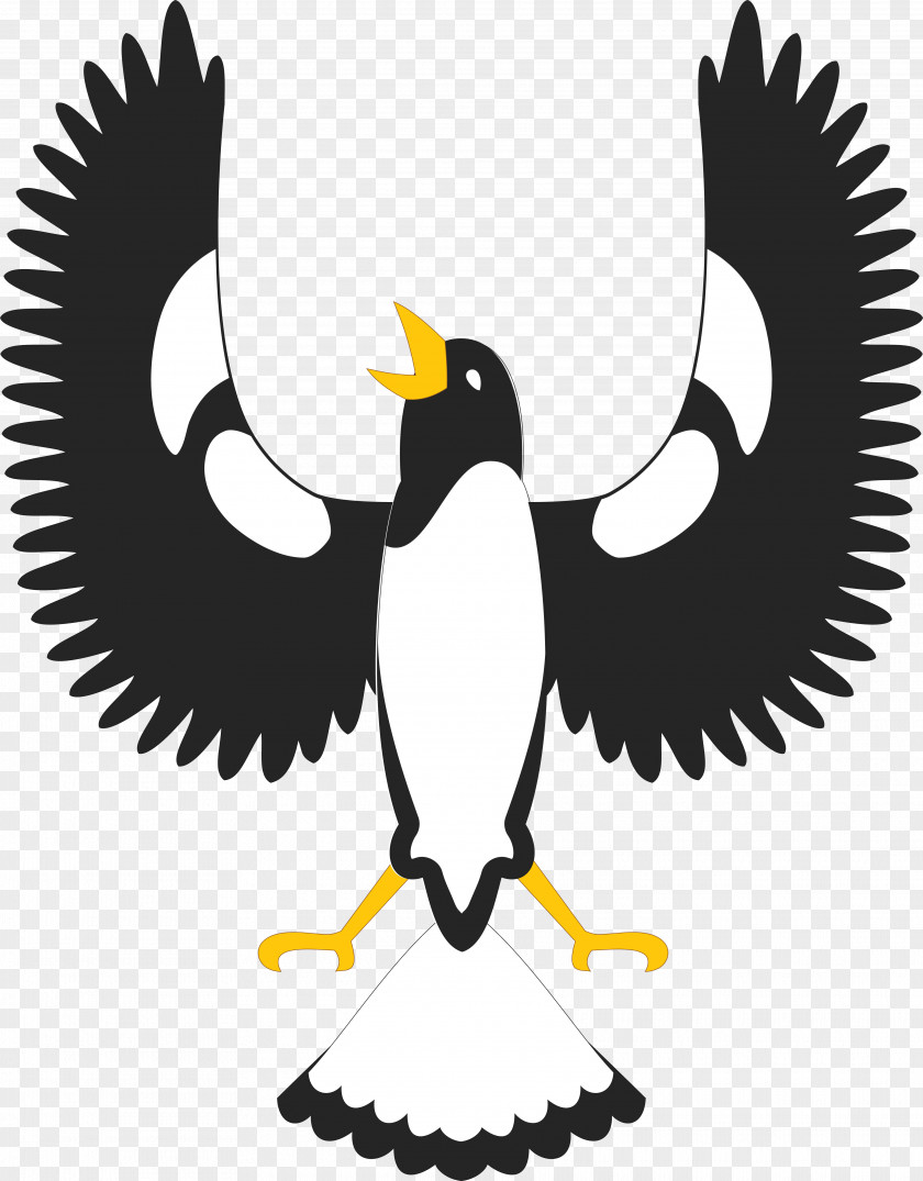 Cdr Bird Piping Shrike Clip Art PNG
