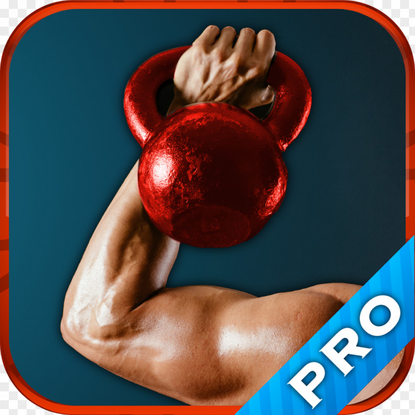 Dumbbell Kettlebell Exercise Physical Fitness Weight Training PNG