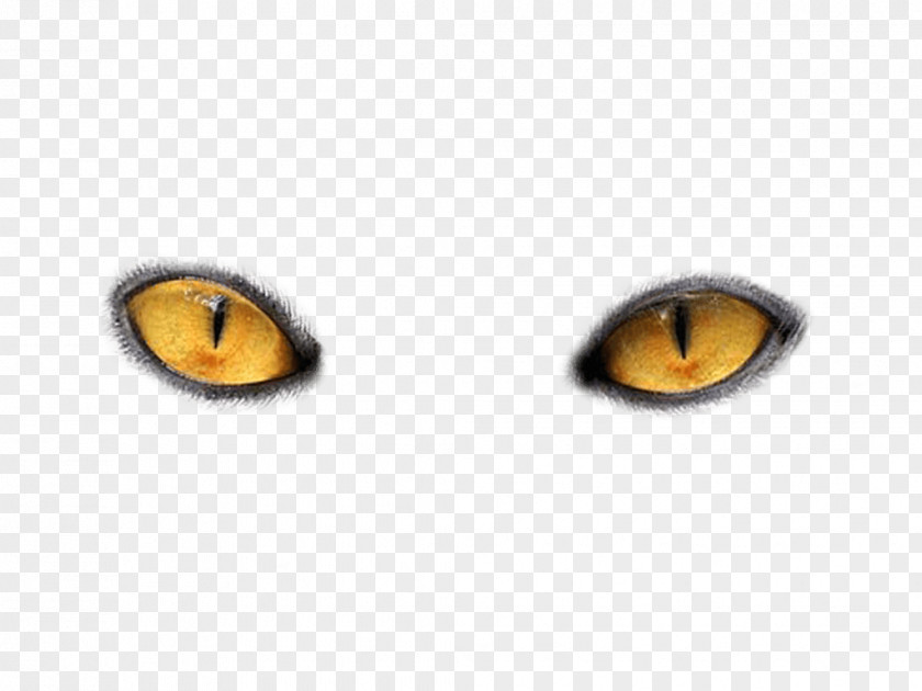 Eyes Png Image Cat's Eye PNG