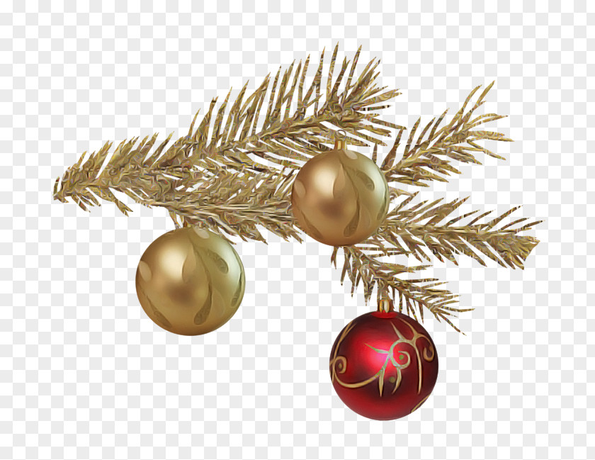 Plant Conifer Christmas Ornament PNG