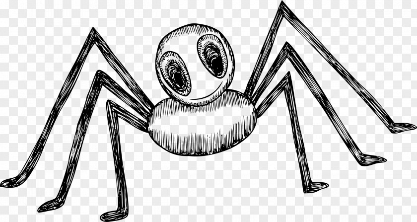 Strange Spider Drawing PNG