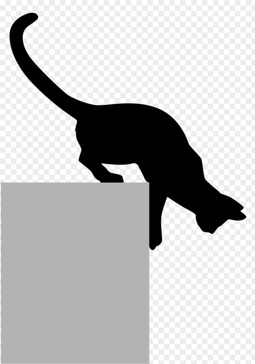 Animal Silhouettes Black Cat Kitten Silhouette Felidae PNG
