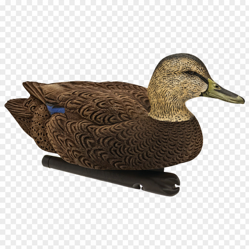 Duck Mallard Decoy Goose PNG
