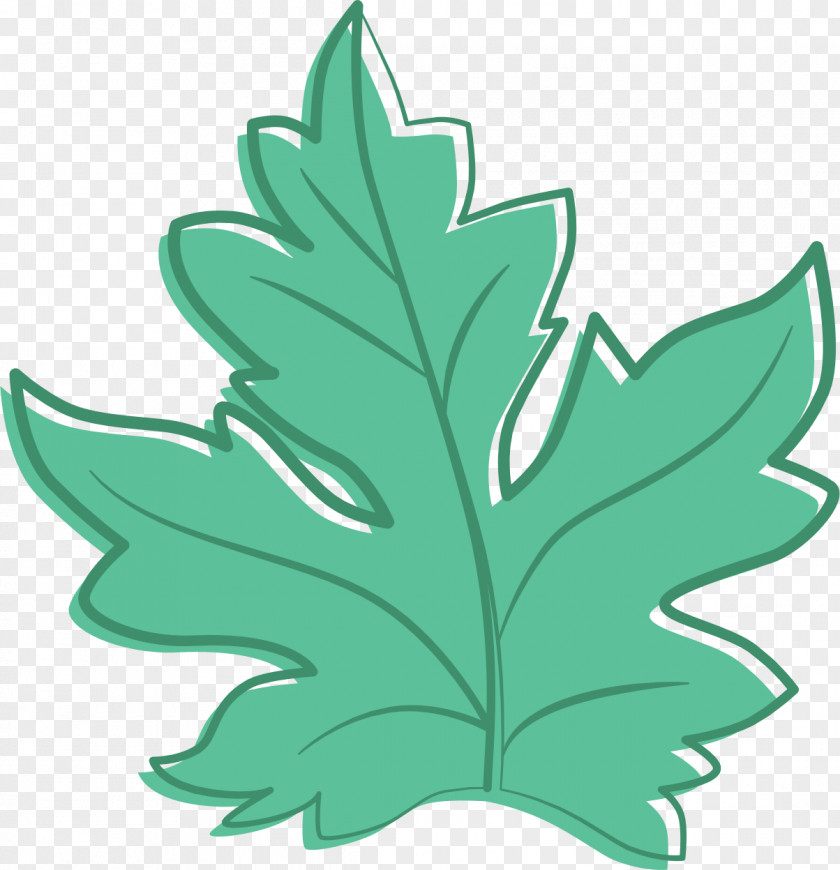 Green Leaves Maple Leaf Fruit Clip Art PNG