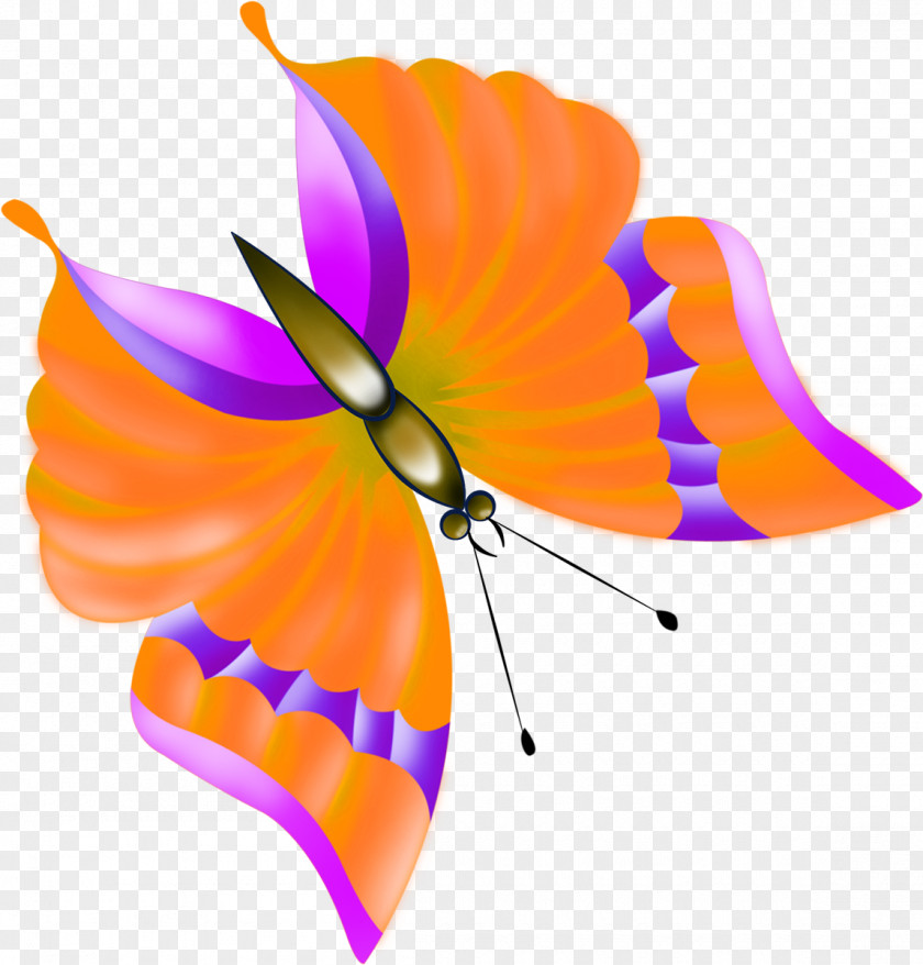 Mahavir Butterfly Drawing Photography Clip Art PNG