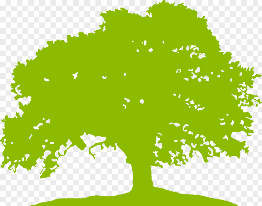 Tree Clip Art PNG