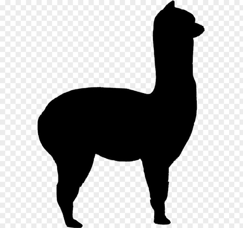 Blackandwhite Tail Llama Cartoon PNG