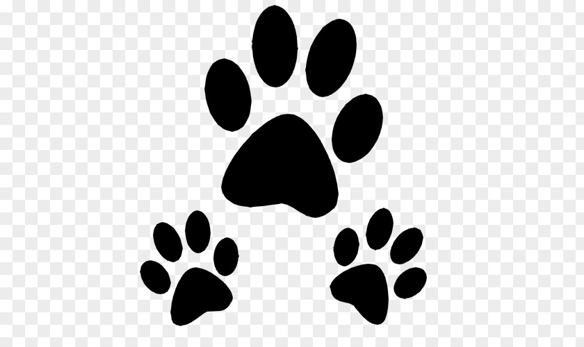 Cat Dog Paw Pet Tag PNG