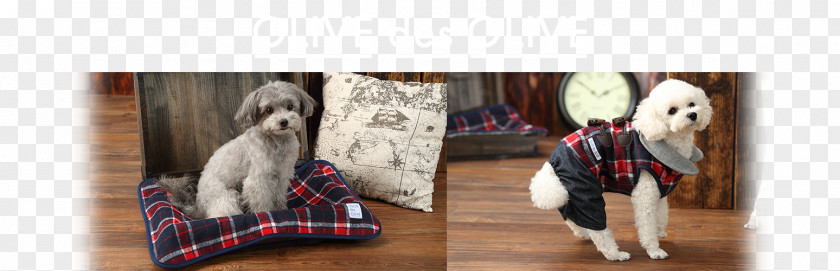 Dog Shoe Tartan Bridle Rein PNG