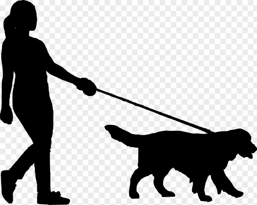 Dog Walking Pet Sitting PNG