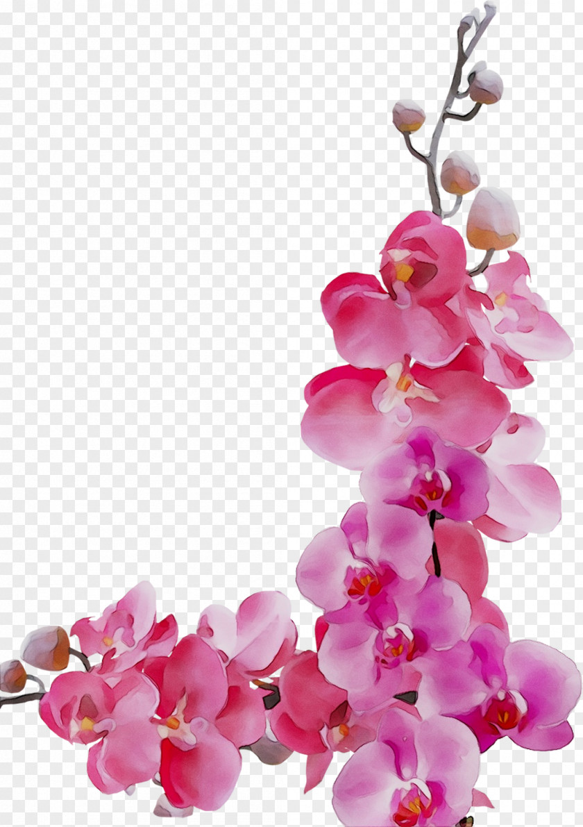 Flower Image Floral Design Vector Graphics PNG