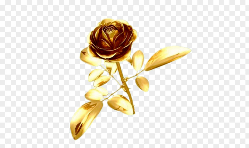 Golden Rose Ping PNG