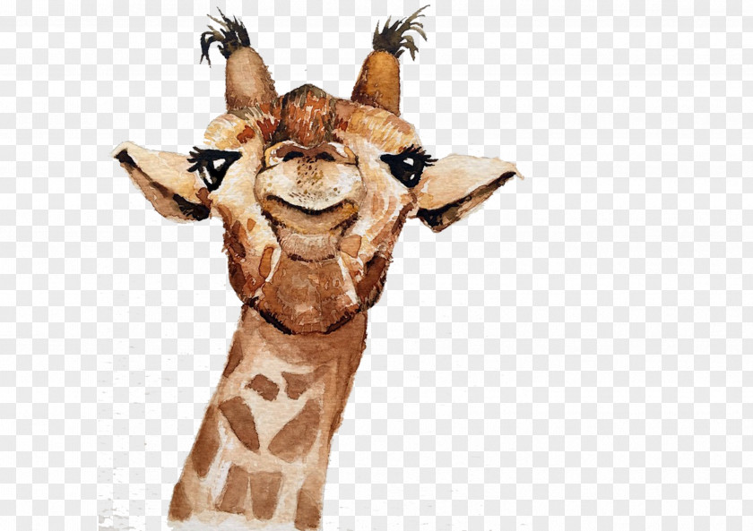 Hand Painted Giraffe Northern Drawing PNG