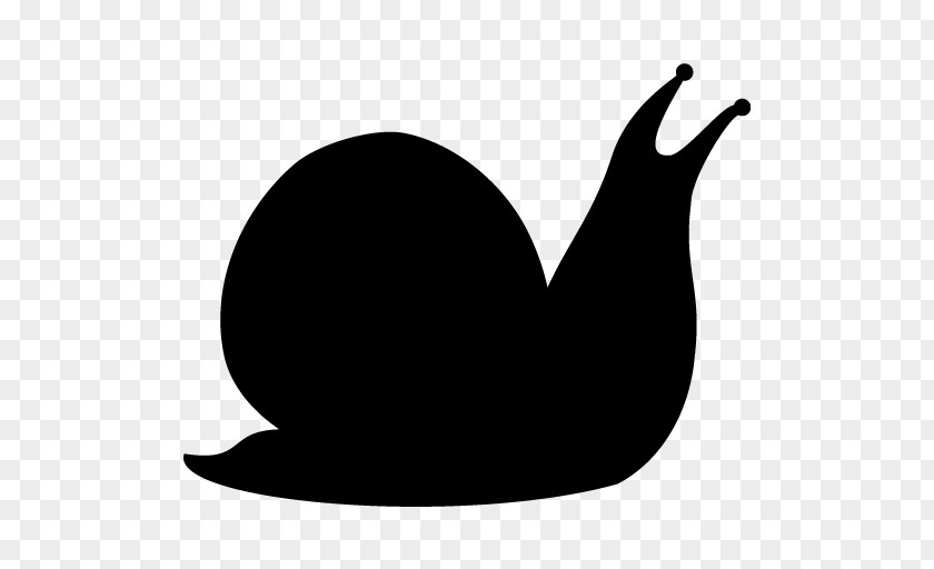 Snail Clip Art PNG