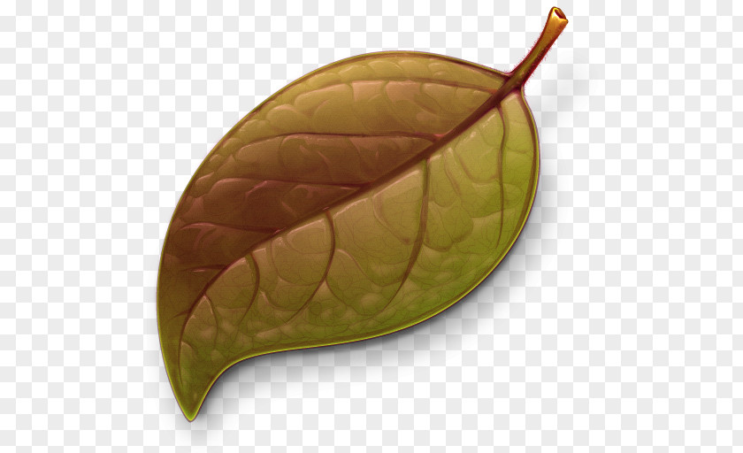 Autumn Leaves Coda Web Development Application Software CandyBar Icon PNG