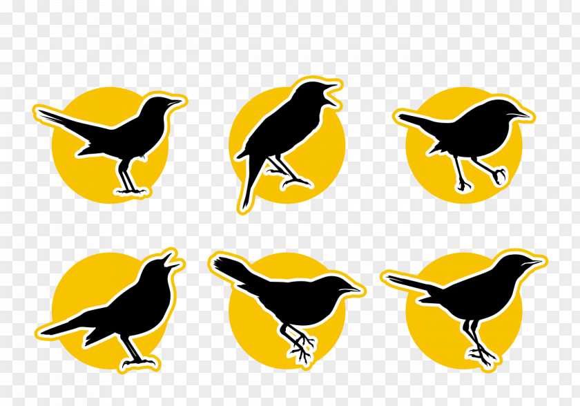 Cartoon Bird Crow Icon Clip Art PNG