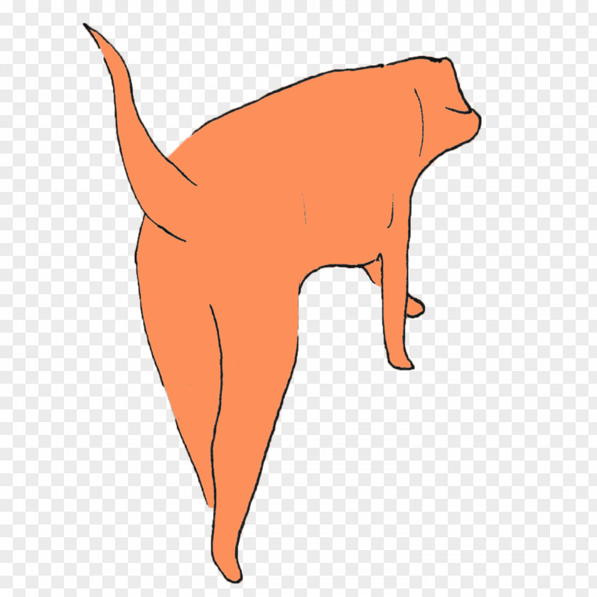 Dog Whiskers Cat Canidae Snout PNG