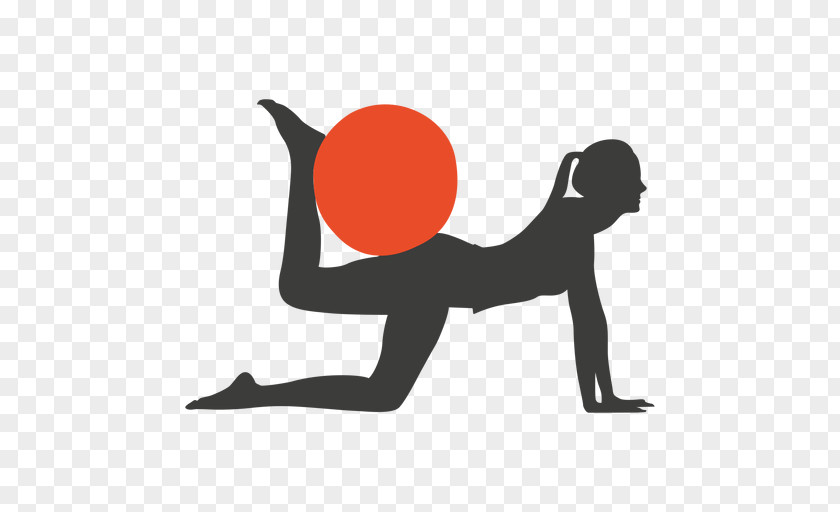 Exercise Pilates Physical BodyPump Yoga PNG
