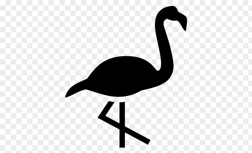 Flamingo Water Bird Crane Goose Cygnini PNG