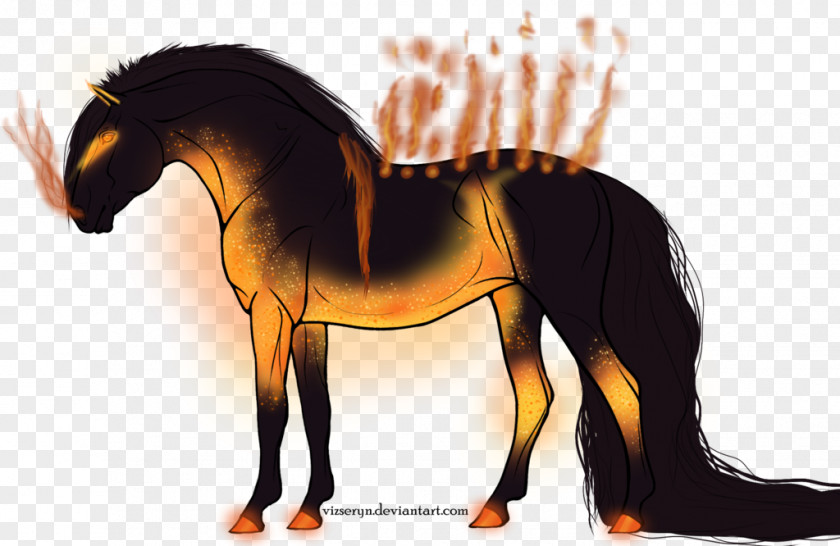 Mustang Mane Pony Stallion Halter PNG