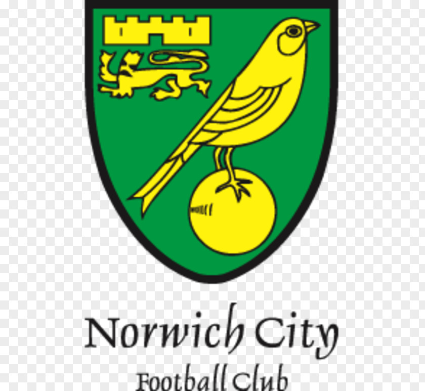 Norwich City F.c. F.C. Under-23s And Academy Carrow Road The Nest Southampton PNG