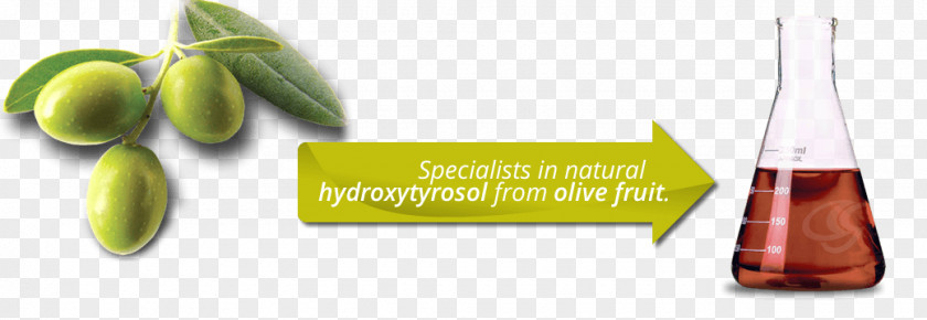 Olive Oil Hydroxytyrosol Oxygen Radical Absorbance Capacity Food PNG