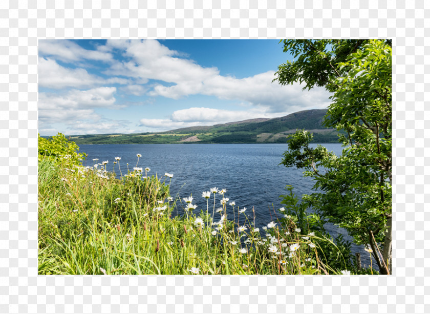 Park Fjord Loch Plant Community Nature Reserve PNG