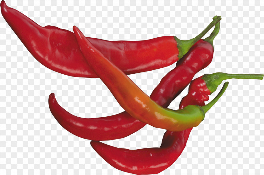 Red Chili Pepper Image Serrano Cayenne Jalapeño PNG
