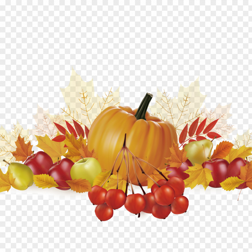 Autumn Pumpkin And Apple Pictures Thanksgiving Day Fruit Illustration PNG