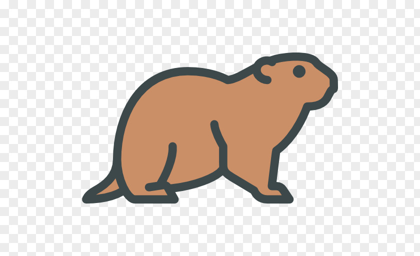 Beaver Squirrel Clip Art PNG