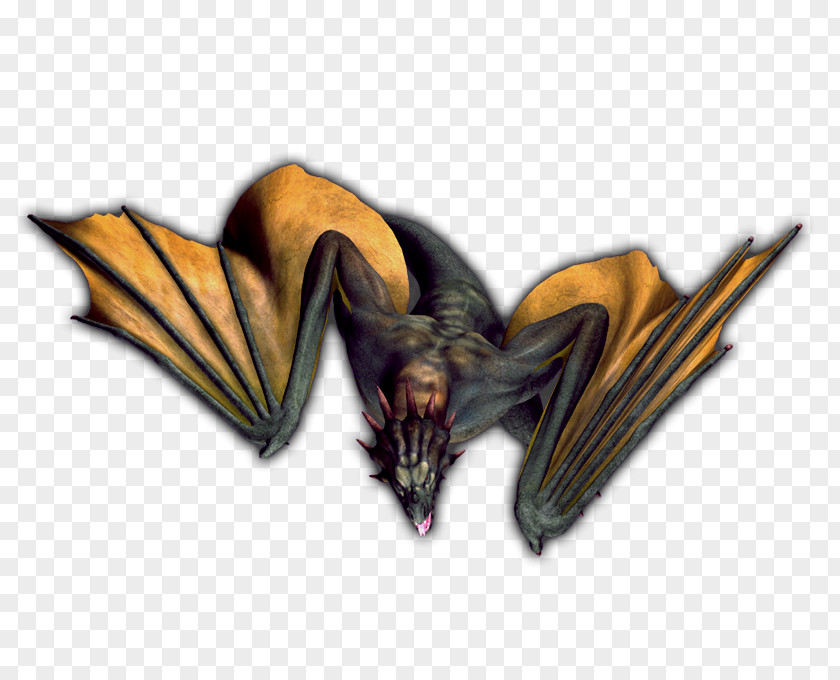 Dragon Wyvern PNG