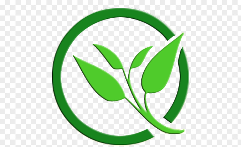 Logo Plant India Food Background PNG