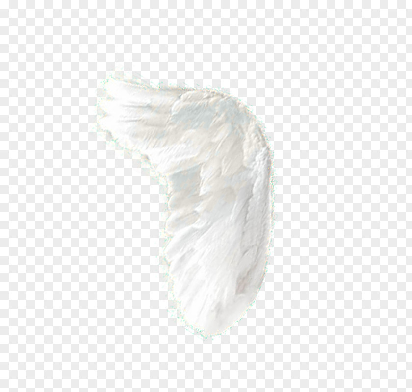 Related Feather Wings White Black Pattern PNG