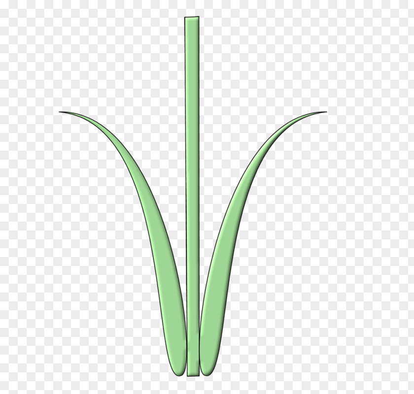 Green Grass Grasses Plant Stem Leaf PNG