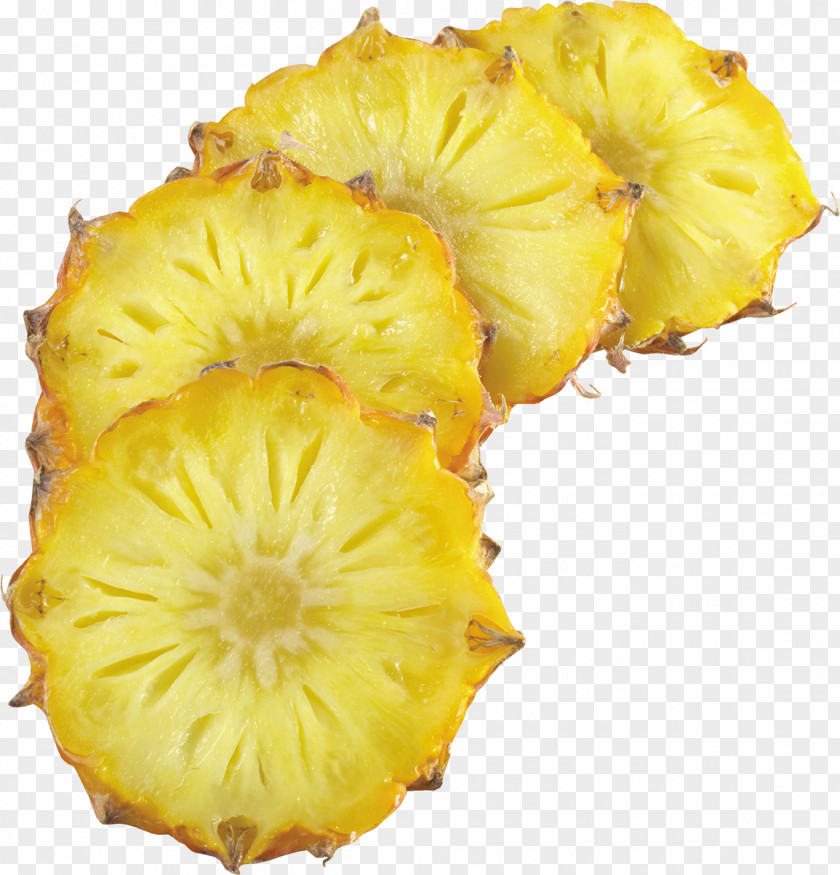 Mango Pineapple Fruit Slice Stock Photography PNG