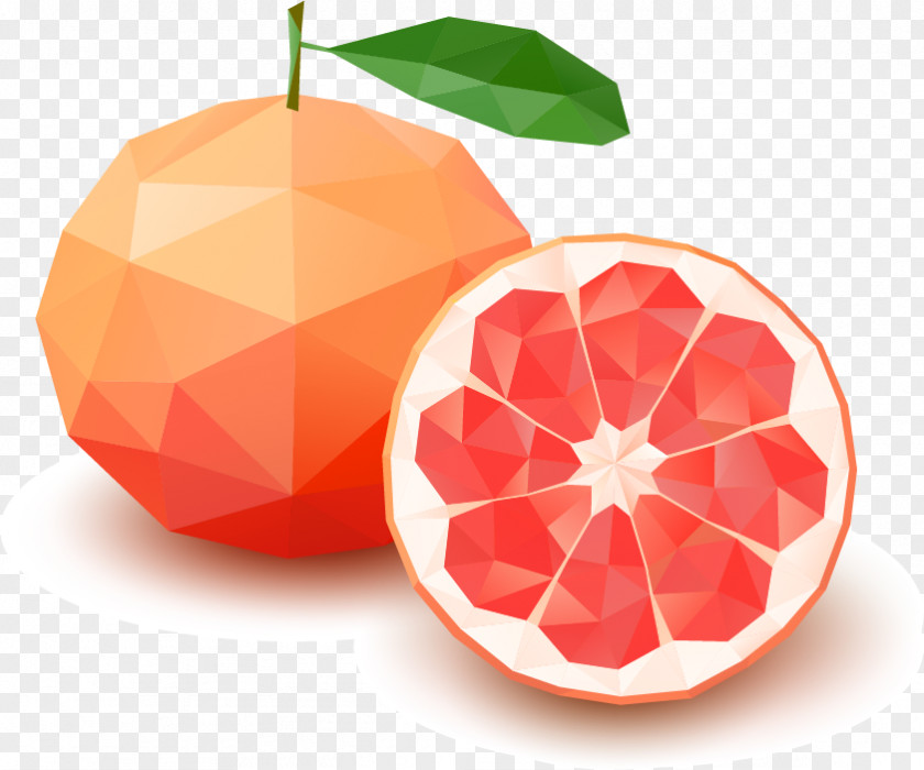 Red Grapefruit Pomelo Lemon Tangerine Citron PNG