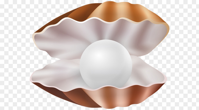 Tableware Egg Book Drawing PNG